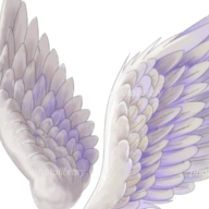 Tsubasa_9602