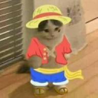 KingCat101
