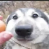 PeLmEnnnN
