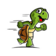 FastTurtle8