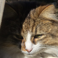 clem