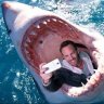 Sharpjaws