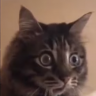 Jacknug