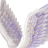 Tsubasa_9602