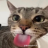 pixity