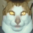 Ryaco0l