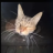 DaVid_802