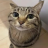 sihost